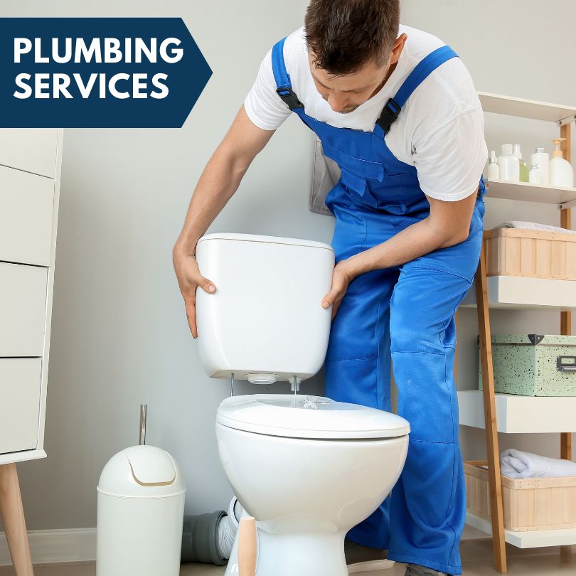 Plumbing Company in Portage, MI